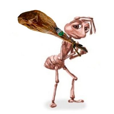 eye_adler's profile picture. dragon age era...