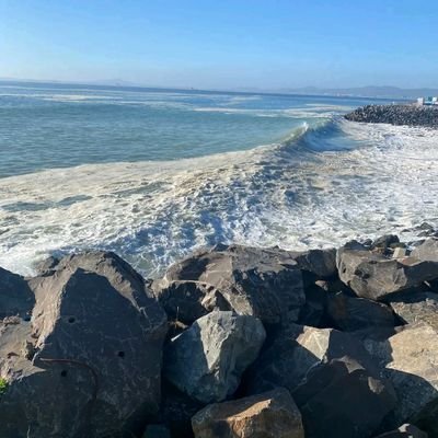 VKhumalo35214's profile picture. 