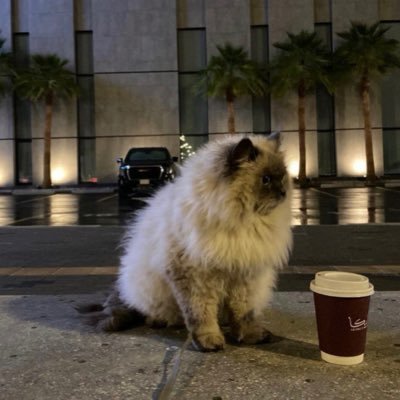 yuuuimv's profile picture. "You will face many defeats in life, but never let yourself be defeated."