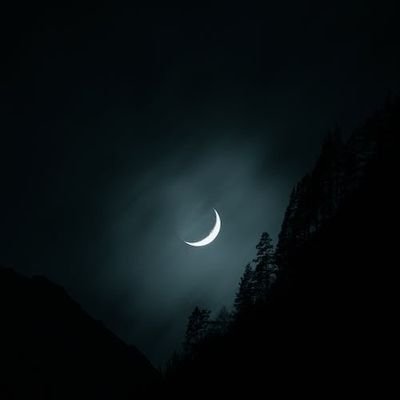 techcraque's profile picture. 