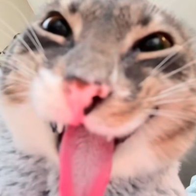 SamuKaralio's profile picture. 