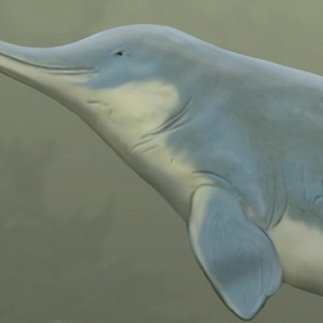 VV1409931261408's profile picture. Nothing stays permanent. Lean onto God, find your purpose and serve it well.

R3