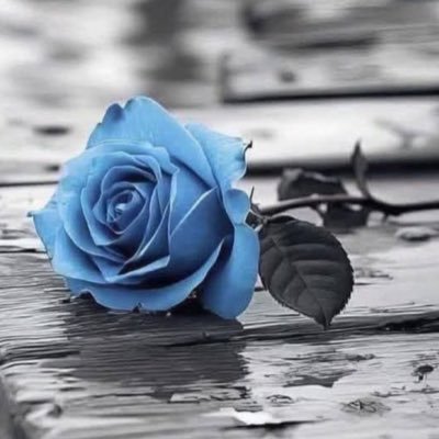 mohra_7o's profile picture. لا يوجد نبذة تعريفية 🗝️