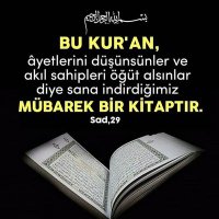 Ali ihsan 145354 (@aliihsanto50251) Twitter profile photo