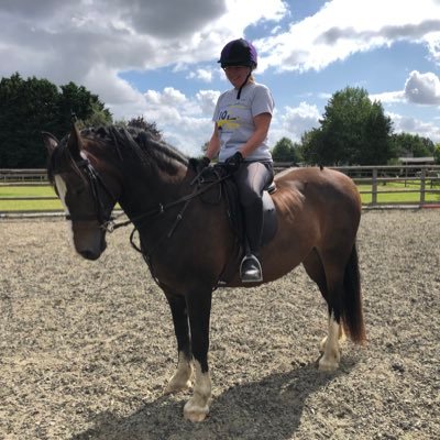 NicStonebridge's profile picture. 