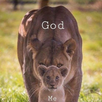🇨🇵🇮🇹 ✝️ support 🇮🇱🇮🇱 always land of God for eternity 💙🙏🎗️
Anti woke
