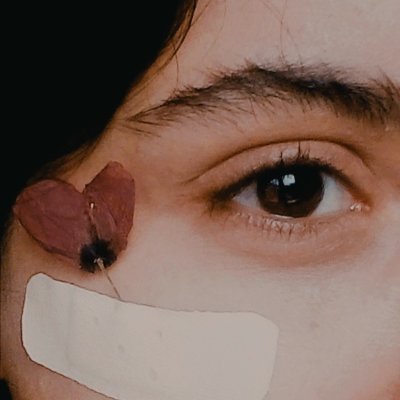 hieyery's profile picture. 𓆰

https://t.co/eimXvuXg92