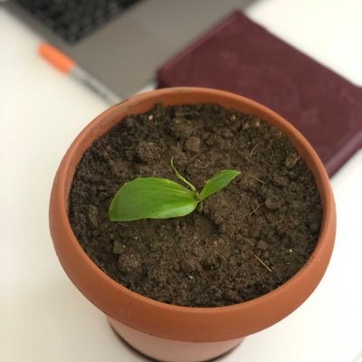 Fatma720822's profile picture. 