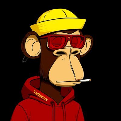 Talbamx's profile picture. Forex & crypto trader | Community First