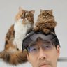 Taka_Yoshinaga's profile picture. #tryAR 主催 /Top 15 XR Master Minds 2024 / 日本酒ナビゲーター / 人に厳しく猫には甘くカレーは激辛ナイスレッド / 
技術系アカウント(English)はこちら: @tks_yoshinaga
お問い合わせ等はDMか下記個人サイトから