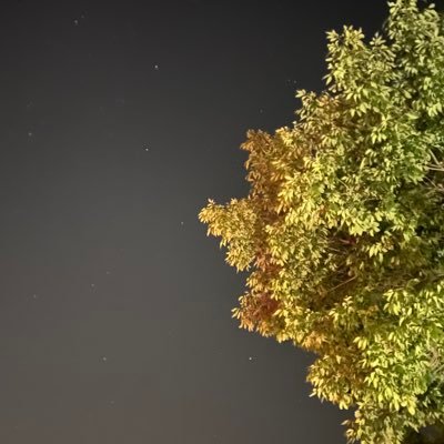 jejaprivate's profile picture. just chillin’