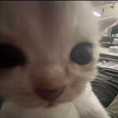 walks_in_snow's profile picture. Slowly losing it 

Idk what I'm posting

This is low-key my diary