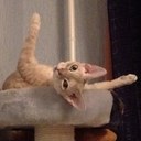 Vera  - @Vera_berry - Twitter