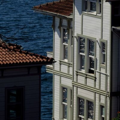 SayAsaf72838's profile picture. 