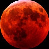 Bloodmoontrader's profile picture. Software engineer & Trader