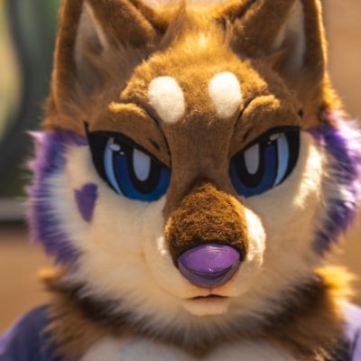 Koley, 28, She/her, 🇮🇪 Toy Designer at a toy company. The love of my life @ocelnaut 💜 Fursuit and icon by @canis_major_c