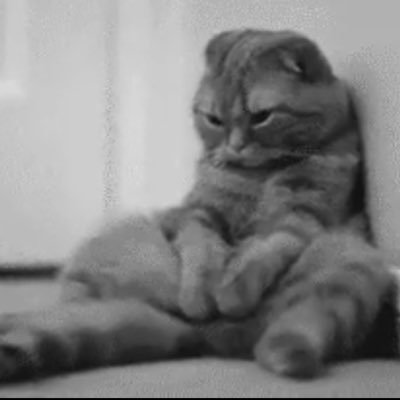 WokeLoverboy's profile picture. 