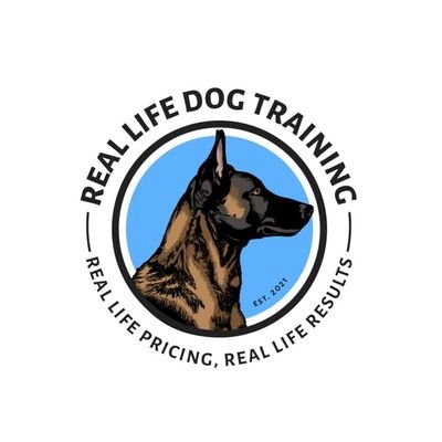 These Belgian Malinois puppies are not just cute; they’re intelligent, energetic, and eager to learn! Perfect for active families or individuals