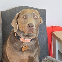 Kai (@kaileitch_) 's Twitter Profile Photo