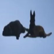 snoob9ale's profile picture. 