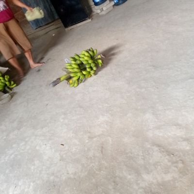 suprarori74110's profile picture. 