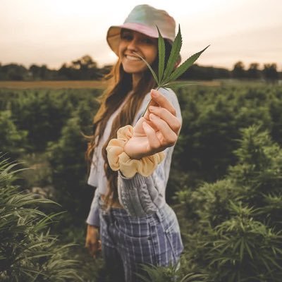 Not just a stoner, I'm a connoisseur of botanical bliss💚 Some people collect stamps, I collect strains 🌱Staying sane, one puff at a time 💨