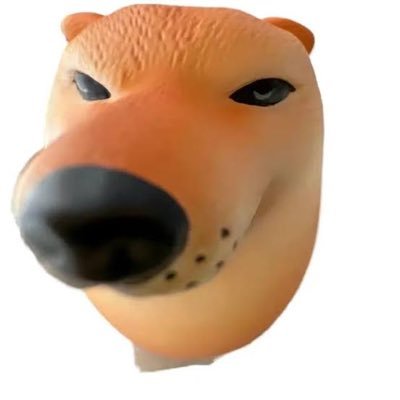 czoiff8's profile picture. 