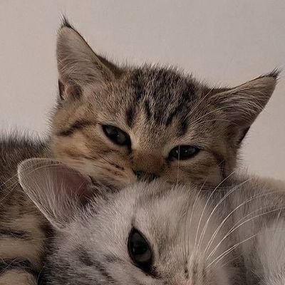 ☁️😺
be careful with your words you never know,how many times it keep repeating in someone mind