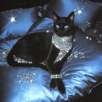 💕 weewoo show enthusiast 🏳️🌈🚒🚨 • buck girl • eddie lover • black | 25🎈♋️🎂♀️ • 🏴🇯🇲💋 • spreading love to everyone,but tim minear • 🫶🏾💞