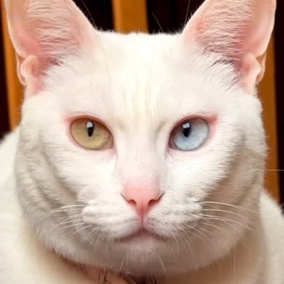 complete_drip's profile picture. 