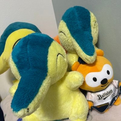 orix_1239's profile picture. 4歳⚾︎ORIX🐮83、9、8