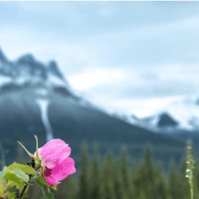 MLeflamme's profile picture. Canada first