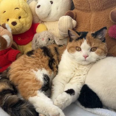 FiveLost051's profile picture. DeFi enthusiast architecting blockchain solutions