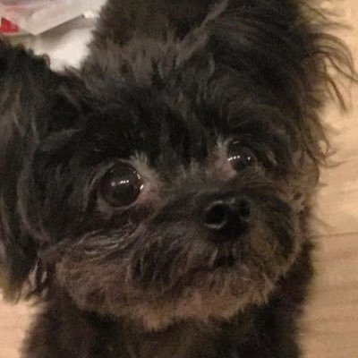 株好き😊 LINEやってません。秘書いません。アシスタントいません。 アマギフ、スタバなど、皆様からのご支援大変ありがたいです。