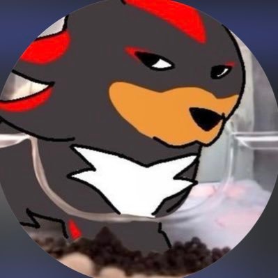 willowpea_'s profile picture. shadow the hedgehog lover,,, ajpw enthusiast,,,,, wenclair4lyfer,,,,, horse denier no.3