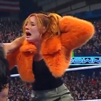 fan account 🏳️🌈 • pro wrestling 🤼♀️ • becky lynch 🐐 • @Inter 🖤💙