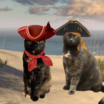 #ZSHQ General Maggie & Rear Adm. Sabine *Thor was RADM in #ZSHQ. #Weeti #TheRuffRiderz #WLF. OTRB🌈 3/18/20* *Jadzia🌈 7/2/20* *Rey🌈 6/27/22* *Glenn🌈 3/16/23*