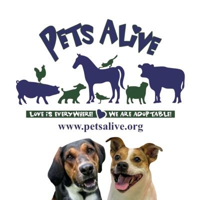 Pets Alive's mission is to build a humane community supporting the human-animal bond through rescue, adoption, intervention, education, and outreach.