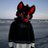 Rixthewriter's profile image