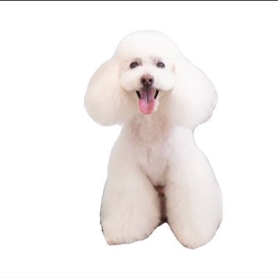 asano200130's profile picture. ♡あさのごしゃい♡いとかにしゃい♡あやしゃんしゃい♡リンカネ♡ 藤咲あや甘やかし隊長♡公式ストーカー2公認🐩