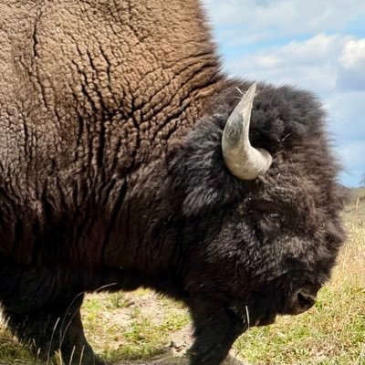 lonbom's profile picture. technology, solar, EV