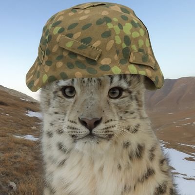 chungusbeast55's profile picture. ♏️ 🌲
We are closer to ruin than redemption.
Support your thyroid. I ❤️ 🇨🇳 peptides.