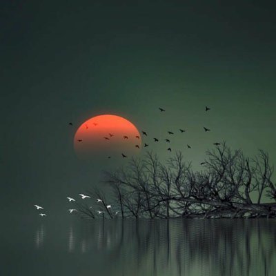 Wildfdsaw's profile picture. Peace of mind comes when we exercise our right to be honest, especially with ourselves.