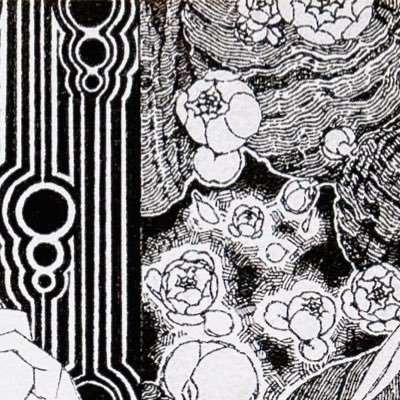 星冠妃：世羽さんのプロフィール画像