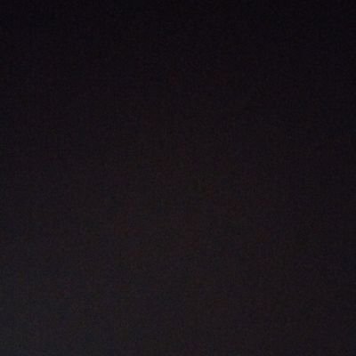 vibsingr's profile picture. 