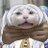 Chadyさんのプロフィール画像