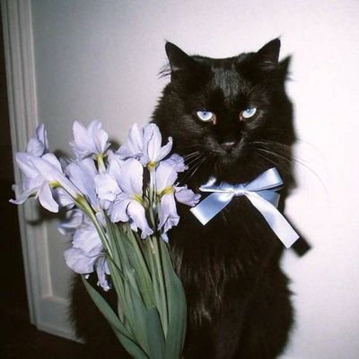 @secret4arf