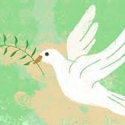 moonchen728738's profile picture. A Pacifist！Fight Against Japanese fascism！Remember the history and To enjoy the peace life.