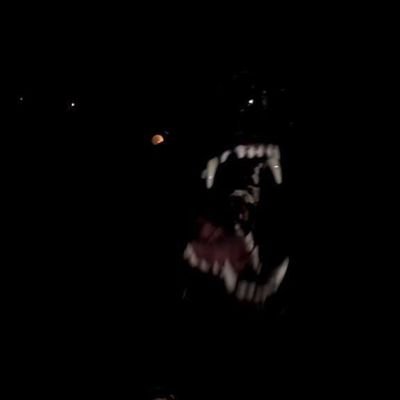 BurnN0tice_'s profile picture. 