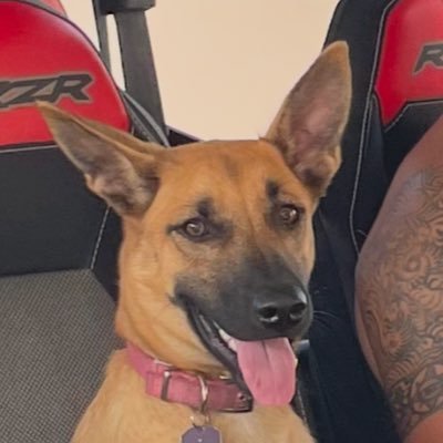 brendanburnett's profile picture. Can't buy me love